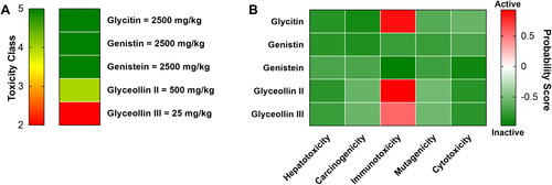 Figure 3. Toxicity classification (A) and probability to induce several toxicity properties (B) of selected isoflavones.