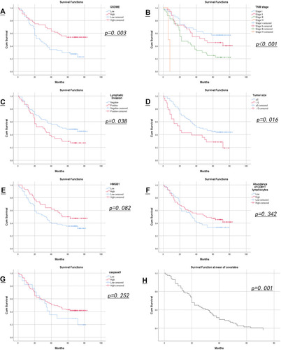 Figure 2 Kaplan-Meier survival curve. In Kaplan-Meier survival analysis, the expression level of GSDME (A), TNM stage (B), lymph node invasion (C) and tumor size (D) were the factors affecting the prognosis of patients (P=0.003, P=0.000, P=0.016, P=0.038, respectively). The expression levels of HMGB1 (E), caspase3 (G) and the abundance of CD8+T lymphocytes (F) were not used as prognostic indicators for the survival of lung cancer patients (P=0.082, P=0.252, P=0.342, respectively). Multivariate analysis of survival curve showed P =0.001 (H). In the TNM staging image, lines of different colors represent different TNM staging, as shown in the notes next to the image. Kaplan-Meier survival curve of other variables, red curve represents high expression and blue curve represents low expression.