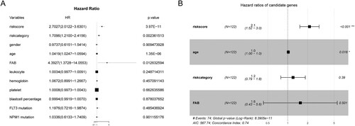 Figure 5. Forest plots of the univariate (A) and multivariate (B) Cox regression analysis in AML.