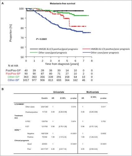 Figure 6. LC3B and HMGB1 double positivity as a complement to current prognostication tools. (A) Kaplan-Meier curves for metastasis-free survival (MFS) in the PACS04 trial stratified according to the presence of both cytoplasmic LC3B puncta and nuclear HMGB1 in breast cancer cells, as well as clinical prognostic status (good or poor). P values were calculated using the log-rank test. (B) Univariate and multivariate analyses (by Cox regression) of factors associated with MFS in the PACS04 trial. GP, good prognosis; BP, bad prognosis.