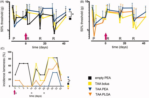 Figure 4. TAA release from PEA microspheres rescues synovitis-induced mechanical hypersensitivity and prevents lameness. As a measure for PGPS-induced referred mechanical hypersensitivity the 50% response threshold of the hind paws to von Frey hairs was determined in (A) animals treated with a single intraarticular knee injection (pink arrow) of empty PEA microspheres n = 6 (black squares), TAA loaded PEA microspheres n = 5 (blue triangles) and TAA bolus suspension n = 6 (yellow squares) or (B) animals treated with a single intra-articular knee injection of TAA loaded PEA microspheres n = 5 (blue triangles) benchmarked versus TAA bolus suspension n = 6 (yellow squares) and TAA loaded PLGA microspheres n = 6 (orange triangles). Data are presented as mean ± SD, *p < .05. (C) The incidence of lameness during the course of PGPS-induced synovitis was measured of animals treated with empty PEA microspheres n = 6, TAA loaded PEA microspheres n = 5, TAA bolus suspension n = 6, and TAA loaded PLGA microspheres n = 6. Statistical analysis was performed on the cumulative lameness scores. Significance was assumed at p < .0125, indicated by an asterisk. P: priming, R: reactivation.