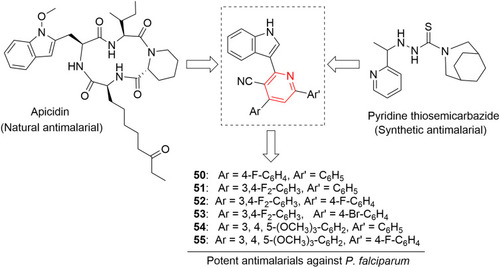Figure 27 Highly active antimalarial pyridyl–indole hybrids.