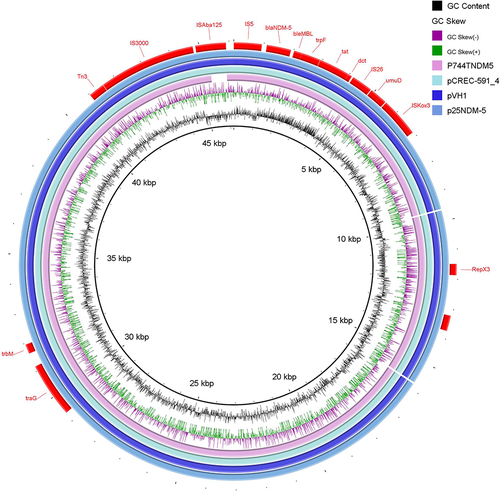 Figure 3 Circular genomic comparison of p25NDM-5 with three other plasmids drawn by BRIG software. Different colors represent plasmids from different isolates. Red bars indicate genetic annotations, and blank represents the missing region compared with the reference genome.