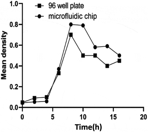 Figure 2. Comparative observation on the growth curve of bacteria cultured by microfluidic chip method and traditional 96 well plate method after cultured 0, 2, 4, 6, 8, 10, 12, 14, and 16 h
