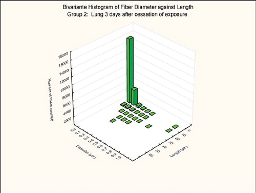 FIG. 8  Group 2, chrysotile bivariate length and diameter distribution measured of fibers recovered from the rat's lungs 3 days after cessation of the 5-day exposure.