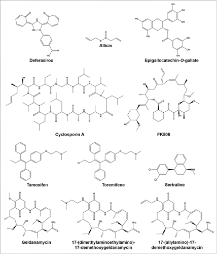 Figure 1. Compounds that have been tested in vivo in combination with existing antifungals and enhanced efficacy.