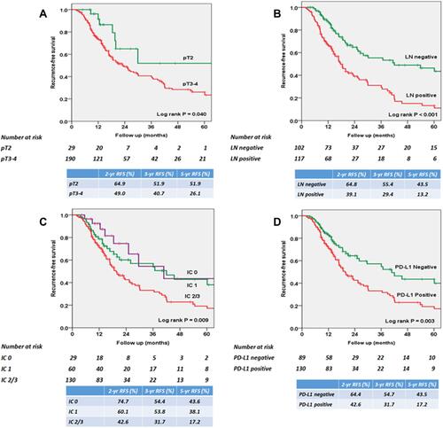 Figure 4 Kaplan–Meier survival curves for recurrence-free survival (RFS) according to (A) pathologic T stage, (B) pathologic N stage, (C) PD-L1 expression score, and (D) PD-L1 expression positivity.