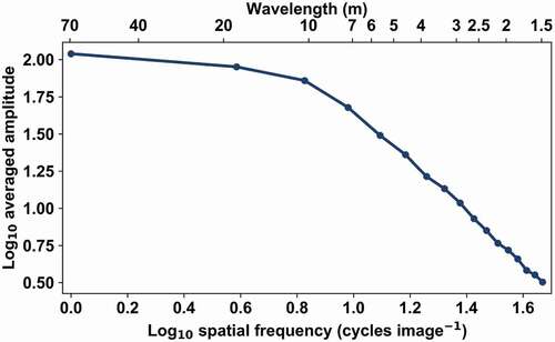 Figure 8. Averaged amplitude spectrum of simulated reflectance for ideal ‘Plot 4’. The spectrum does not show any clear structure in the high frequencies. The estimation accuracy for the mean crown diameter using variogram was 0.0 m for the same simulated image (Table 4).