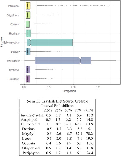 Figure 7. Proportional diet contributions and credible intervals from 9 littoral food sources for 5 cm CL northern crayfish in Buffalo Lake (n = 57). Members of the largest size class of northern crayfish obtained for this stable isotope analysis were trapped in baited minnow traps spatially stratified throughout Buffalo Lake in depths ranging from 1 to 5 m. The wide distribution in credible intervals implies a large amount of uncertainty in the percent contribution estimates for littoral prey items; however, we observe that the diet in this size class is now dominated by Ephemeroptera and Chironomidae with limited proportional diet contribution from juvenile crayfish.