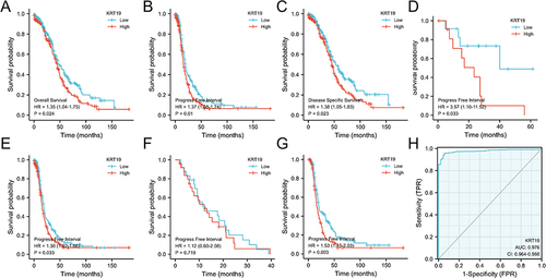 Figure 2 Diagnostic and prognostic value of KRT19 in OV. (A–C) Kaplan–Meier curves for OS, PFI and DSS in OV patients. Effects of KRT19 expression on PFI in pathologic stages of OV for FIGO stages I and II (D), FIGO stages III and IV (E), PD and SD (F), PR and CR (G). (H) ROC curve of KRT19 mRNA expression in OV cohort.