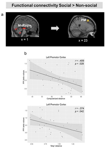 Figure 6. (a). Brain regions showing increased functional connectivity with the midbrain for approaching social relative to non-social stimuli. (b). Scatter plot depicting the correlation between preferred distance to social stimuli in the computerized task, and connectivity strength between the midbrain and the left PMd. Activation threshold set at cluster-forming p< .001 uncorrected, and FDR-corrected p< .05 at the cluster level. Results in the figure are displayed at p< .005 uncorrected for visualization purposes, but only clusters surviving at the predefined threshold are highlighted.