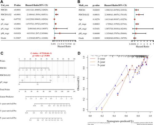 Figure 4 Univariate and multivariate cox regression of immune checkpoints in HCC. (A and B) Univariate and multivariate cox regression of clinical parameters and immune checkpoints in HCC. (C and D) The predictive nomogram to predict the 1-y, 3-y and 5-y overall survival of HCC patients.