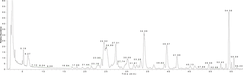 Figure 2.  Total Ion Current (TIC) Chromatogram of crude Fructus Corni in negative ESI model.