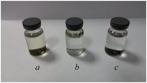 Figure 3. Samples a, b and c after being added in 1 M HCl solution for 24 h.