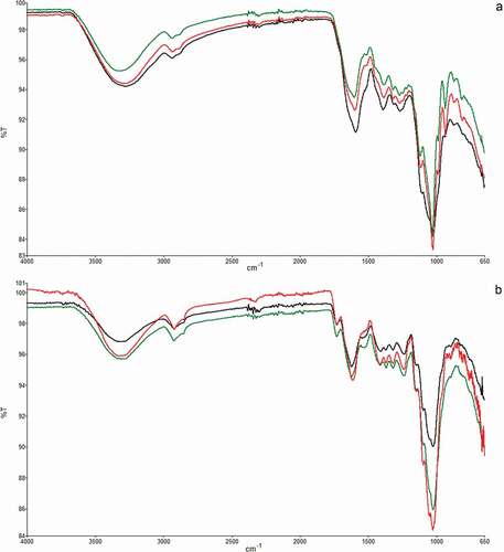 Figure 2. ATR-FTIR spectra of soluble (a) and insoluble (b) fractions of artichoke bracts. Samples: AR (green curve), SC (red curve), BN (black curve)