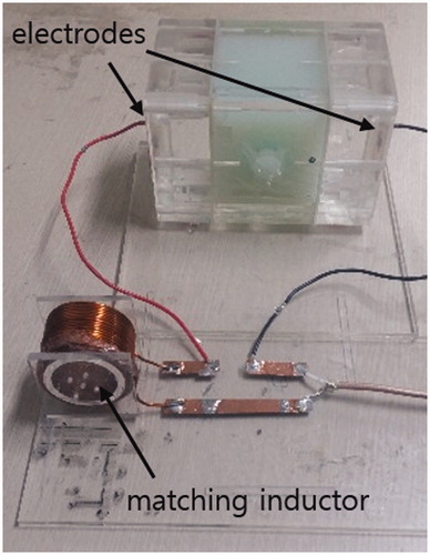 Figure 2. Photograph of the tissue-mimicking phantom with a serially connected matching inductor. The inductor was not in the RF coil during RF capacitive heating to avoid interference.