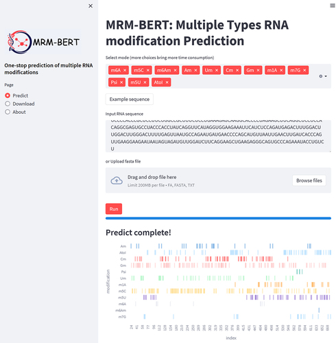 Figure 3. A sample prediction result from the online MRM-BERT webserver.