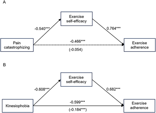 Figure 2 Standardized path coefficients for the mediation models. (A) The mediation model linking pain catastrophizing and exercise adherence; (B) The mediation model linking kinesiophobia and exercise adherence. The lower coefficient in parentheses represents the path before exercise self-efficacy was introduced into the model, and the upper coefficient represents the path after exercise self-efficacy was introduced into the model. All models were adjusted for following covariates: age, gender, marital status, education, income, living condition, insurance, joint pain duration, replacement site, length of stay, post-TKA complications. ***p < 0.001.