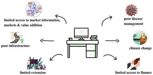 Figure 8. Challenges faced by the Zambian smallholder livestock system.