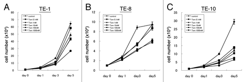 Figure 4. Temsirolimus suppresses cell proliferation of esophageal cancer cells. Three esophageal cancer cell lines (A, TE-1; B, TE-8; C, TE-10) were treated with different concentrations of temsirolimus (0–1000 nM) and the cell number at the indicated time point (day0, 1, 3, and 5) was counted to draw these growth curve.