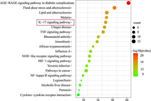 Figure 5 KEGG enrichment analysis of 34 crosspoint targets. The Y-axis represents the top 20 significantly enriched pathways. The X-axis shows the ratio of enriched target genes to background genes. The size of the dots indicates the number of target genes in the pathway, and their color range reflects the different p-values.