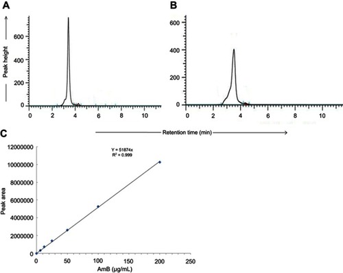 Figure S1 HPLC chromatogram of AmB (0.2 mg/ml) (A) and synthesized GL-AmB (amount equivalent to 0.2 mg/ml of AmB used in synthesis) (B). AmB standard curve based on HPLC determination (C).Abbreviation: AmB, amphotericin B.