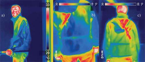 Figure 4. The recorded thermogram