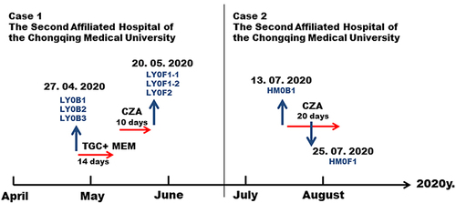 Figure 1 Schedule of antibacterial treatment and isolation of Klebsiella pneumoniae strains. The red arrows represent the time period of medication. The blue arrow represents the specimen collection at the corresponding time.