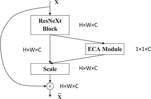 Figure 4. The ECA-ResNeXt block.