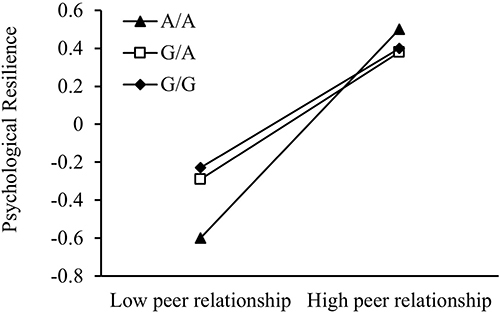 Figure 1 The simple slope plot between peer relationships and psychological resilience.