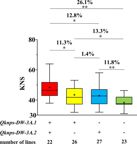 Figure 3. Effects of the two major QTL, Qknps-DW-3A.1 and Qknps-DW-3A.2, on increasing KNPS in the mapping population. ‘+’ and ‘–’ represent lines carrying the positive allele of the corresponding QTL or not, respectively. ** Significance at the 0.01 probability level, * significance at the 0.05 probability level.