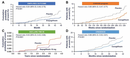 Figure 2 Class effect of SGLT2 inhibitors (A) EMPA REG outcome; from N Engl J Med, Wanner C, Inzucchi SE, Lachin JM et al. Empagliflozin and Progression of Kidney Disease in Type 2 Diabetes. 375: 323-334, Copyright © (2016) Massachusetts Medical Society. Reprinted with permission from Massachusetts Medical Society.Citation29 (B) CANVAS; From N Engl J, MedNeal B, Perkovic V, Mahaffey KW, et al. Canagliflozin and Cardiovascular and Renal Event in Type 2 Diabetes. 377: 644-657, Copyright © (2017) Massachusetts Medical Society. Reprinted with permission from Massachusetts Medical Society.;Citation30 (C) DECLARE-TIMI 58 outcome; from MosenzonCitation31 (D) CREDENCE; From N Engl J Med.Perkovic V, Jardine MJ, Neal B, et al. Canagliflozin and Renal Outcomes in Type 2 Diabetes and Nephropathy. 380:2295–2306, Copyright ©(2019) Massachusetts Medical Society. Reprinted with permission from Massachusetts Medical Society.Citation32
