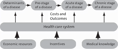 Figure 1. Microeconomic disease-based approach.
