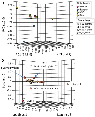 Figure 4. Principal component analysis (PCA) of VOCs in headspace of sorghum and rice.