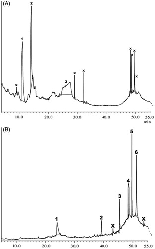 Figure 2. TIC chromatogram of the methanol (ME-F2) and ethyl acetate (EE-F4) fraction of P. hexandrum. Peaks (A) 1: 2,3-dihydro-3,5-dihydroxy-6-methyl-4H-pyran-4-one; 2: 2-furancarboxaldehyde, 5-(hydroxymethyl); 3: hexadecanoic acid, methyl ester. (B) 1: n-hexadecanoic acid; 2: (3β)-stigmast-5-en-3-ol; 3: (3β)-stigmasta-5,22-dien-3-ol acetate; 4: deoxy-podophyllotoxin; 5: podophyllotoxin; 6: epiisopodophyllotoxin-acetate; X: minor fractions (detailed in results).