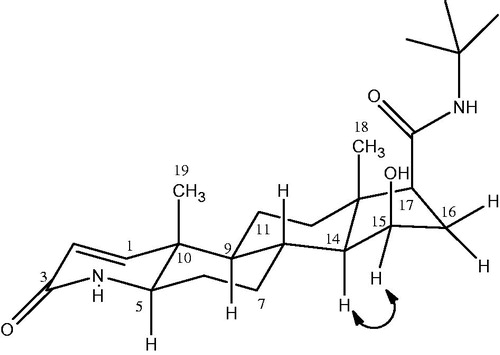 Figure 6. Selected NOESY interactions for metabolite III.
