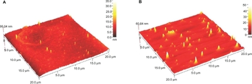 Figure 3 Atomic force microscopy images of AGG60 (A) and AG60 (B).