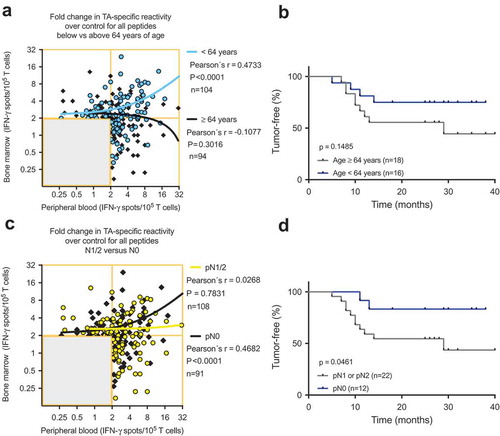 Figure 5. (A) and (C) Scatterplots showing the cumulative BMTC data in relation to PBTC responsiveness to any of the 14 tested TAs in patients with NSCLC (A) younger than 64 years and patients older than 63 years and (C) in patients with pathologically confirmed lymph node metastasis in the final pathology assessment (yellow linear regression line) compared with patients with no lymph node metastasis (black linear regression line). (A) Linear regression analyses showed a statistically significant difference between the slopes (p < .001). In the patients younger than 64 years, BMTC responsiveness increased as PBTC responsiveness increased (two-tailed p < .0001, Pearson’s correlation coefficient r = 0.456, R2 = 0.208). (C) Linear regression analyses showed a statistically significant difference between the slopes (p = .003). In the patients with no lymph node metastasis, BMTC responsiveness increased as PBTC responsiveness increased (two-tailed p < .0001, Pearson’s correlation coefficient r = 0.468, R2 = 0.219). (A) and (C) The frequencies of TA-specific TCs are shown as the fold increase in the mean TA-specific IFN-γ spot counts (calculated relative to the mean IgG control spot counts). The values in the lower left quadrants were excluded, n = 240 in (A) and n = 239 in (C). (B) and (D) Kaplan-Meier survival curves suggested (B) improved RFS in the younger patients (blue) compared with patients older than 63 years of age (gray) and (D) improved RFS in the patients with no lymph node metastasis (blue) compared with patients with pN1 or pN2 lymph node metastasis (gray) (two-tailed p = .046, log-rank test). BMTC, bone marrow-derived T cell; NSCLC, non-small-cell lung cancer; PBTC, peripheral blood-derived T cell; TA, tumor-associated antigen.