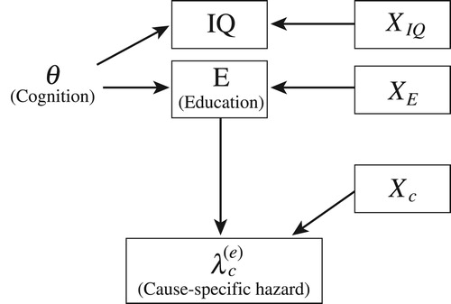 Figure 1 Graphical representation of the structural model on education, cognitive ability, and cause-specific mortalityNotes: Latent cognitive ability, θ, inﬂuences the individual education attained, E, and the (potential) cause-specific hazard, λc(e), for each cause, c, and each education level, E = e. Educational attainment and the cause-specific hazard also depend on observed covariates XE or Xc. The IQ measurement, IQ, depends on the latent cognitive ability and on observed covariates XIQ. Note that XE, Xc, and XIQ may overlap or even be the same.
