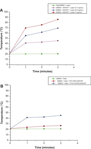 Figure 6 (A) Plots of temperature increase for suspensions of single-walled carbon nanotubes (SWCNTs) at various concentrations as a function of irradiation time using laser at 1.726 W/cm2 for 3 minutes. (B) In vitro temperature measurements using SWCNTs at a concentration of 0.1 mg/mL incubated with MCF7 cells during irradiation by 800 nm laser at 0.5–1 W/cm2 for 3 minutes.Abbreviations: DMEM, Dulbecco’s Modified Eagle’s Medium; FITC, fluorescein isothiocyanate; PEG, polyethylene glycol.