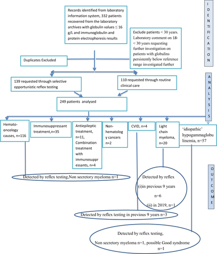 Figure 1 Flow chart of analysis of patient samples.