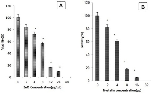 Figure 4 The antifungal activity of ZnO nanoparticles and Nystatin on VVC C. albicans isolates: (A, B) MIC values of ZnO nanoparticles and Nystatin against C. albicans were determined by microdilution method. The isolates were incubated with various concentrations of ZnO nanoparticles and Nystatin for 24 hrs before conducting the MTT assay.