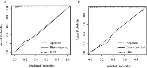 Figure 6 Assessment of the calibration in training and validation cohorts. (A and B) demonstrate the calibration curves of the radiomics nomogram in the training and validation cohorts, respectively.