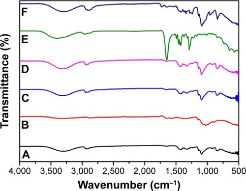 Figure 5 Comparative result of FT-IR spectra for all fabricated samples.Notes: FT-IR shown is for (A) PVA, (B) chitosan, (C) PVA/chitosan, (D) PVA/chitosan/AgNPs, (E) PVA/chitosan/AgNPs/PVP/chlorhexidine, and (F) PVA/chitosan/AgNPs/PEO/chlorhexidine.Abbreviations: FT-IR, Fourier transform infrared spectroscopy; PVA, poly(vinyl alcohol); AgNPs, silver nanoparticles; PVP, polyvinylpyrrolidone; PEO, polyethylene oxide.