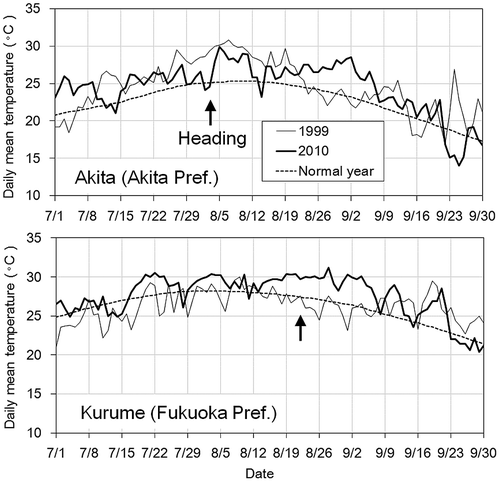 Figure 1. Daily mean temperature trends in the summer of 1999, 2010, and normal year at 1981–2010 each representative site. Site name in each graph shows AMeDAS point in the prefecture shown in parentheses. The arrowhead indicates heading date obtained from MAFF (Citation2014).