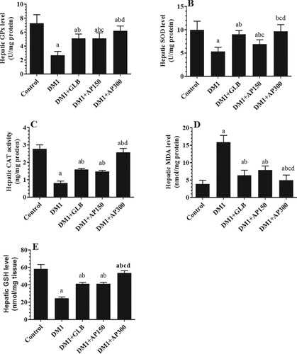 Figure 6. Hepatic levels of glutathione peroxidase (GPx) (A) superoxide dismutase (SOD) (B), catalase (CAT) (C), malondialdehyde (MDA) (D) and glutathione (GSH) (E) in all experimental groups of rats. Data are expressed as mean ± SD (n=10). Values were considered significantly different at p < 0.05. a: significantly different as compared to control non-diabetic rats. b: significantly different as compared to streptozotocin-induced diabetic rats (DM1). c: significantly different as compared to DM1 + glimepiride (GLB)-treated rats. d: significantly different as compared to DM1 + Aloe perryi (AP) (150 mg/Kg)-treated rats. AP300: Aloe perryi (AP) (300 mg/Kg).