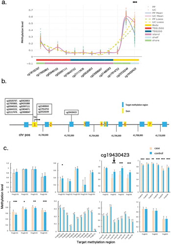 Figure 1. Target methylation sequencing for entire CYP2S1 gene region. (a) All CpG loci covered by Illumina 450 k bead array. Cases and controls are presented by two different colour of lines. Solid lines represent Mean Value plot, and the dash lines represent the Loess line. (b) CYP2S1 gene context, position of array-covered loci and bisulphite target regions are depicted in the scheme. (c) Average methylation level for 46 loci are shown separately in case and control groups
