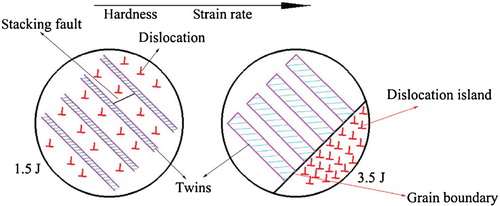 Figure 12. Schematic illustration of formation of twins and dislocation at different impact energies in impact wear [Citation96], reproduced under the terms of the Creative Commons Attribution 4.0 International License.
