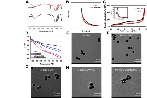 Figure 2 (A) FTIR spectra of MSNs and MSNs-CHO. (B) SAXRD pattern of MSNs and MSNs-CHO. (C) Nitrogen adsorption-desorption isotherms and pore diameter distribution of MSNs and MSNs-CHO. (D) TGA curves of MSNs, MSNs-CHO, MSNs-GOx, MSNs-GOx/PLL and MSNs-GOx/PLL/HA. TEM of (E) MSNs (F), MSNs-CHO (G), MSNs-GOx (H), MSNs-GOx/PLL (I) and MSNs-GOx/PLL/HA.Abbreviations: MSNs, mesoporous silica nanoparticles; MSNs-CHO, benzaldehyde-functionalized mesoporous silica nanoparticles; GOx, glucose oxidase; PLL, poly (L-lysine); HA, hyaluronic acid; FTIR, Fourier transform infrared; SAXRD, small-angle X-ray diffraction; TGA, thermogravimetric analysis; TEM, transmission electron microscopy.