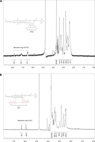 Figure 3 Proton nuclear magnetic resonance (1H-NMR) spectra of (A) PEG-PAMAM-FITC and (B) PEG-PAMAM-Cy7 in D2O at 400 MHz.Abbreviations: PEG, polyethylene glycol; PAMAM, polyamidoamine; FITC, fluorescein isothiocyanate; Cy7, cyanine7.